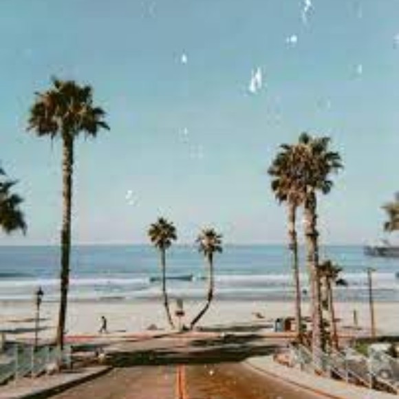 Meet your Posher, Dalas - Picture 1 of 1